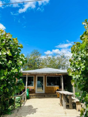 Acogedora Casa en Laguna Pastahué